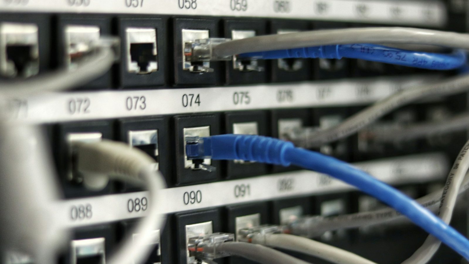 Network patch panel with blue and grey ethernet cables.